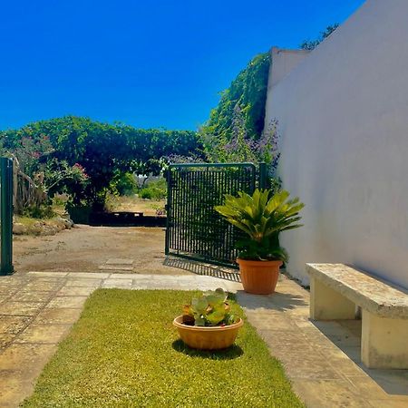 אוג'אנו לה קייזה La Rondine Bed And Breakfast מראה חיצוני תמונה